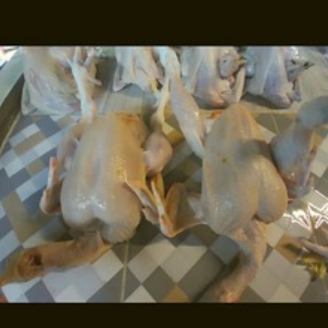 

ayam potong utuh fresh