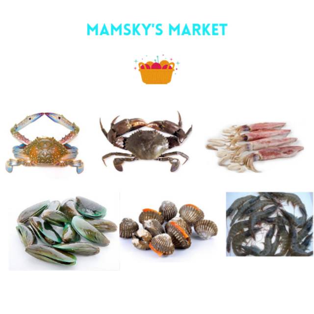 

PROMO RAJUNGAN, KEPITING, UDANG, CUMI CUMI, KERANG IJO, KERANG DARAH