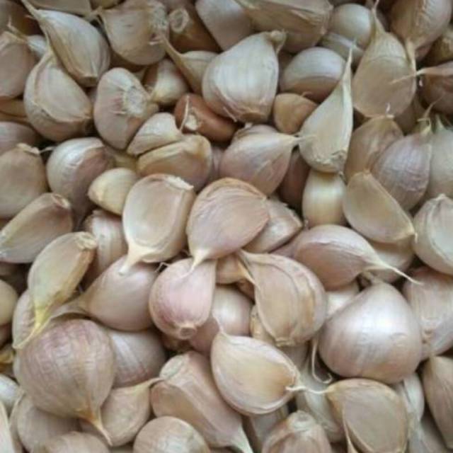

Bawang Putih Kating Grade A 500gr