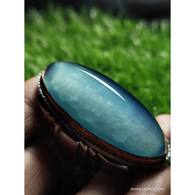 Pandan biru