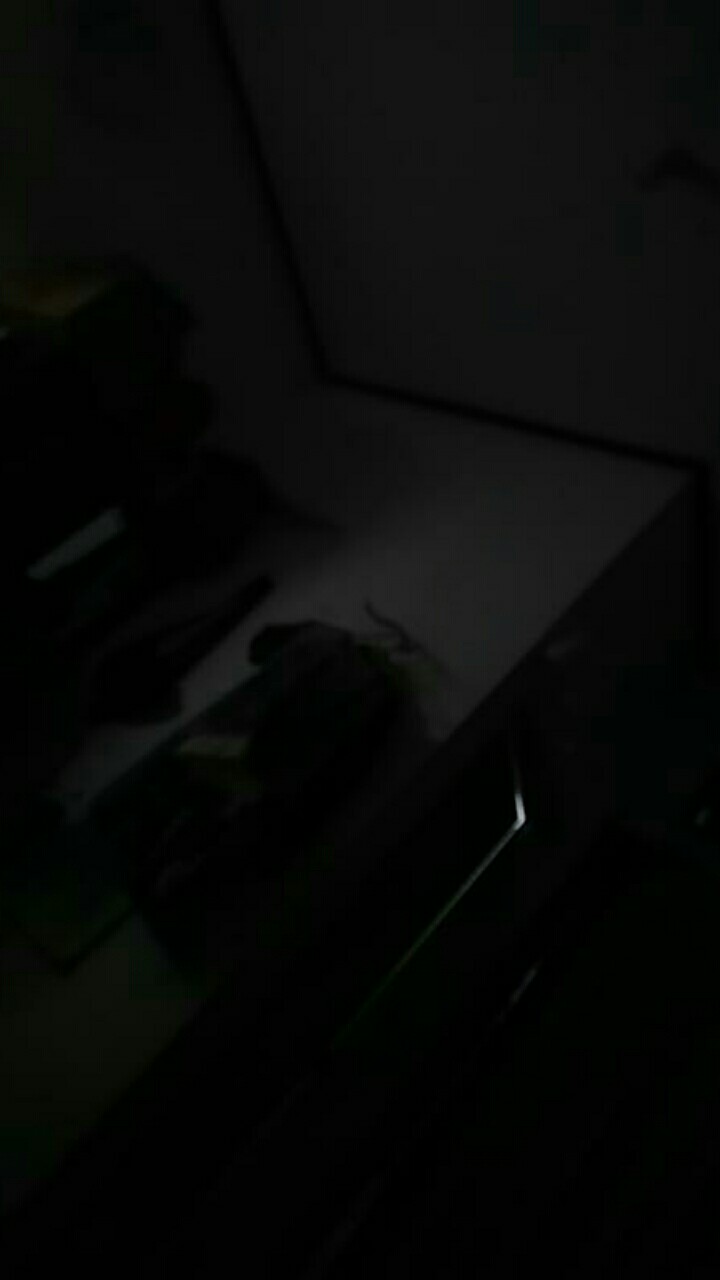 Tang Kombinasi 7 Inch Inci Tang Jepit Palazzo Termurah Berkualitas Mgj