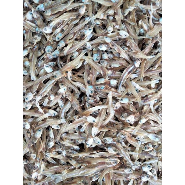

ikan kering teri tawar