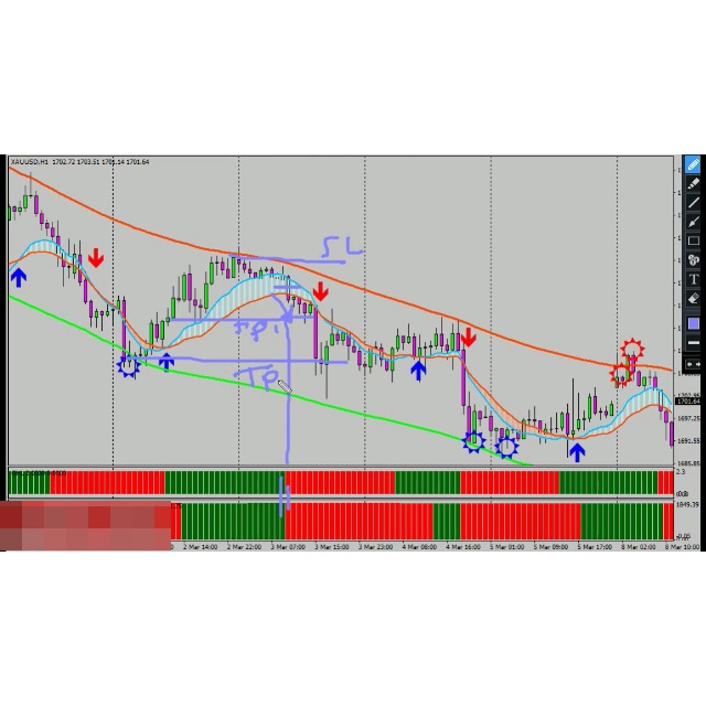 Dle forex template forex trading charts