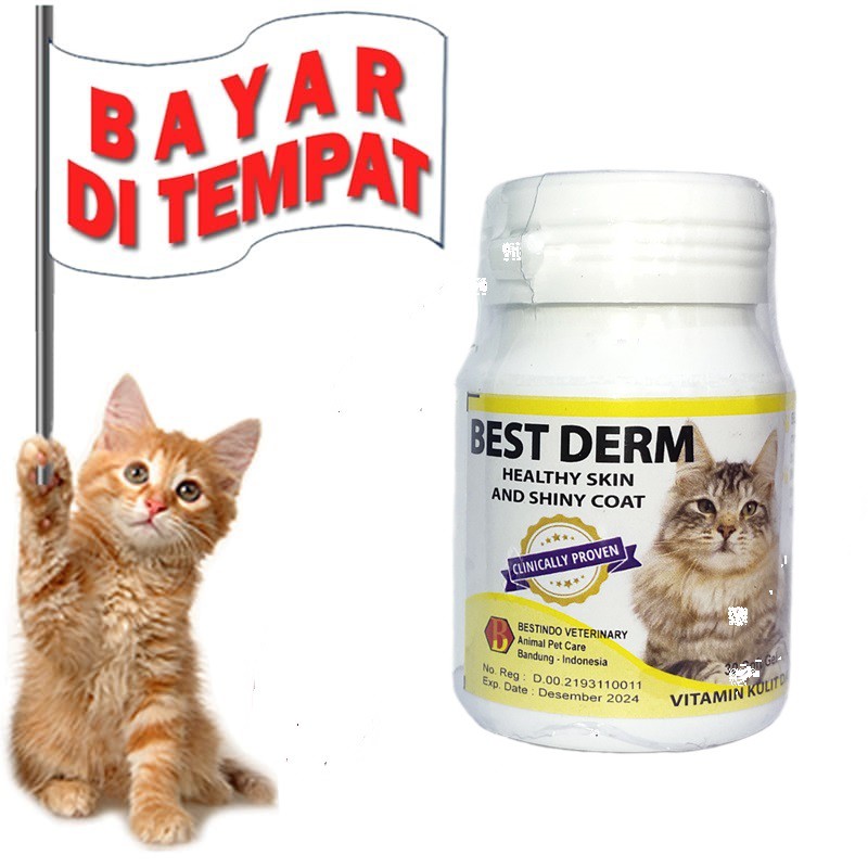 BEST DERM VITAMIN KUCING PENUMBUH BULU RONTOK PITAK BOTAK AMPUH