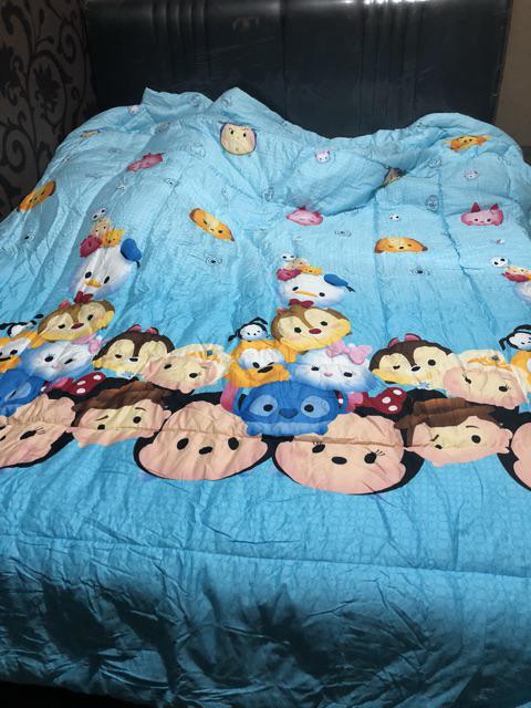 Pre Order,  Sprei Katun Jepang Panel, Butterfly Custom Size 160 180 200