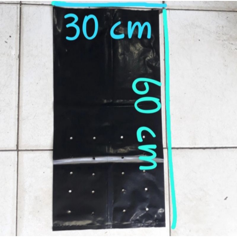 polybag 60x60 cm, besar