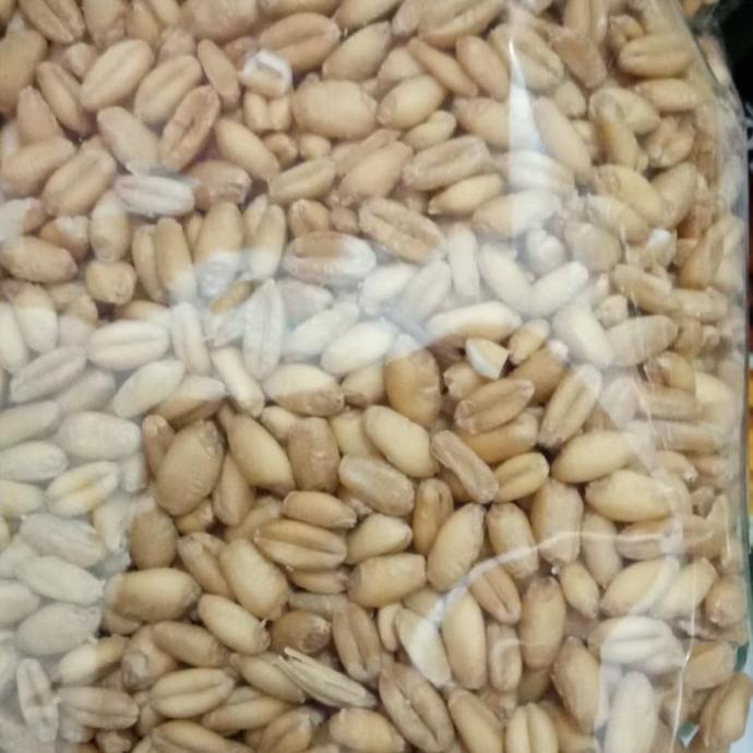 

Gandum Utuh Per kilo