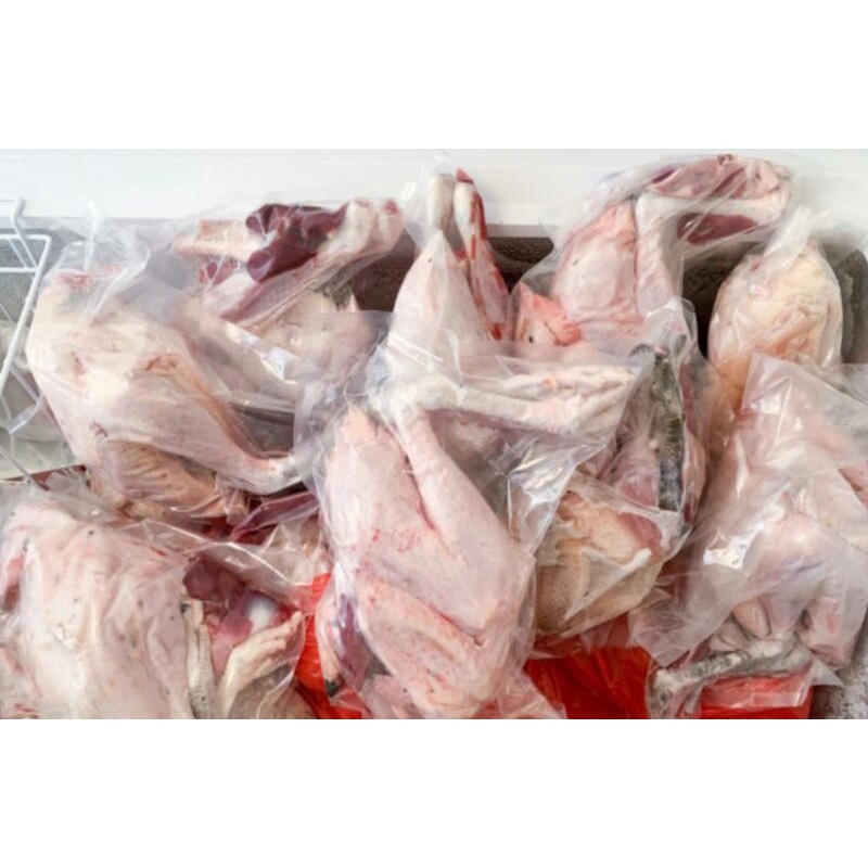 

Ayam Kampung Asli ukuran 0.7kg sampai 1.5kg up ( bisa gojek ) fresh pesan baru dipotong