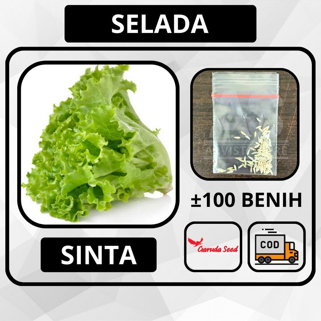 ±100 Butir - Benih Selada SINTA Bibit Sayuran Hidroponik Tanaman Biji Garuda Seed