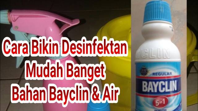 bayclin 100ml