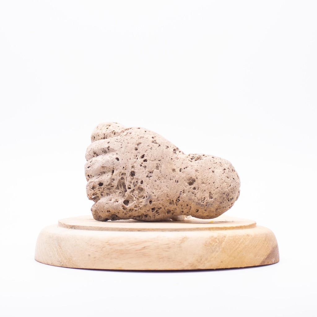 Utama Spice Pumice Stone / Batu Gosok