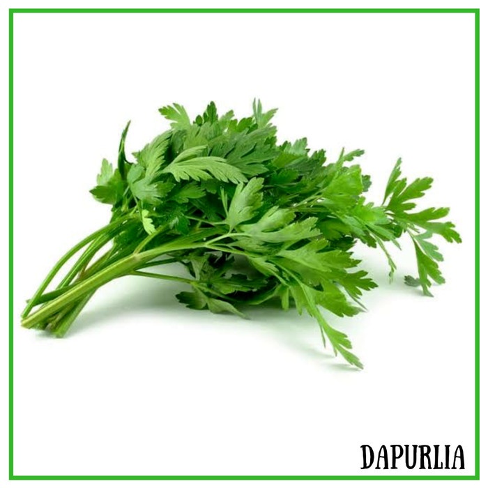 

Daun Seledri Celery Sledri 100gr PO 1hari