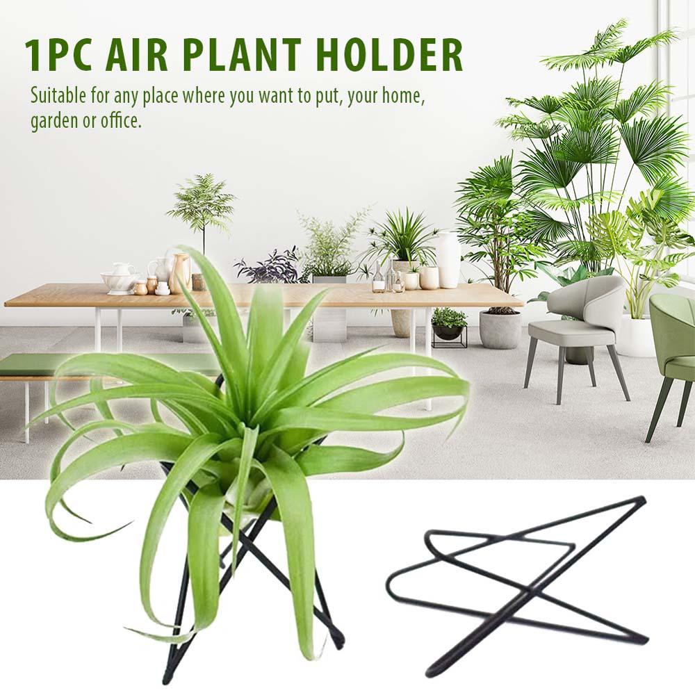 REBUY Air Plant Holder Iron Nordic Style Tabletop Ornament Rak Taman Pot Bunga Berdiri Tillandsia Stand