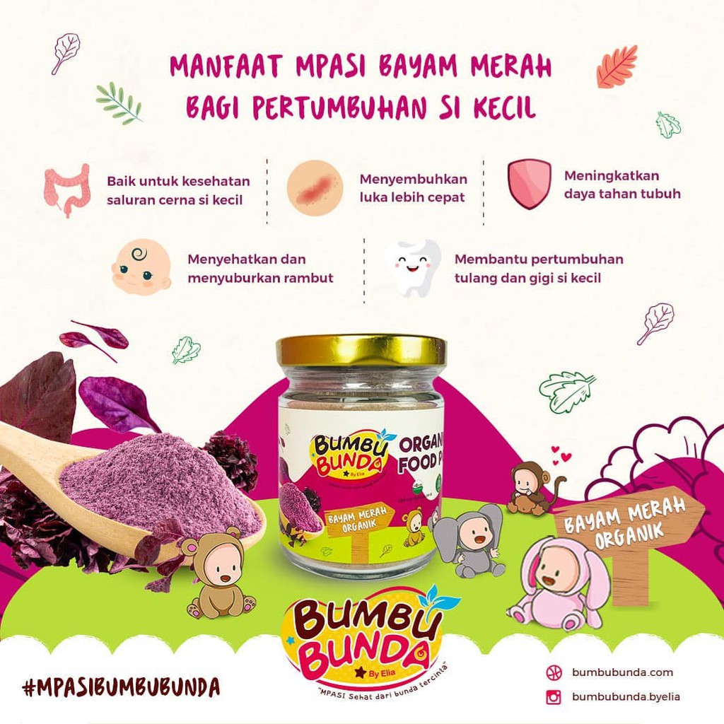 Food Powder MPASI Kaldu Bumbu Masak MPASI Bumbu Bunda 40 G