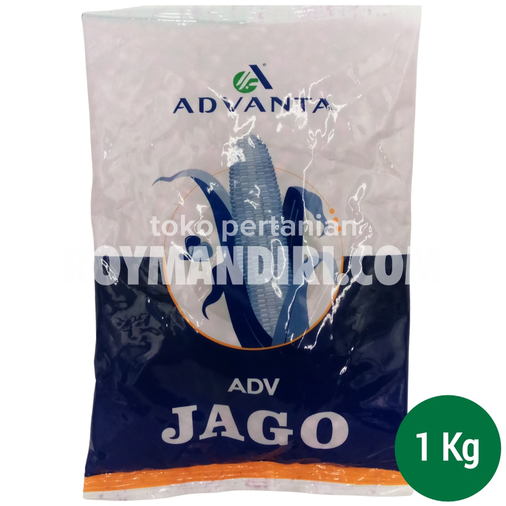 Benih Jagung ADV Jago @1 kg