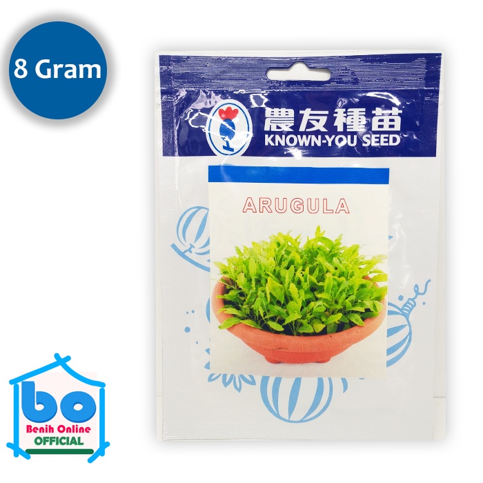 Benih Arugula Known You Seed