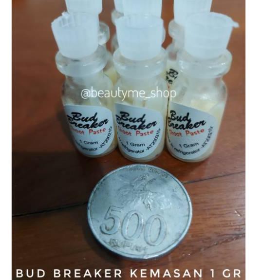 PROMO 3.3 Bud Breaker Kemasan 1 gr /Salep Pemecah Tunas/Salep Anggrek