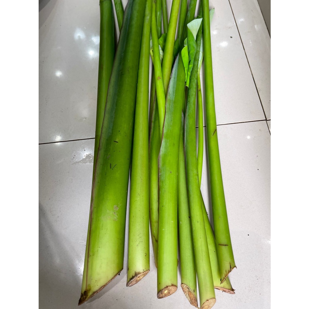 

LOMPONG SAYUR / LOMPONG TALAS SAYUR (500 gr)