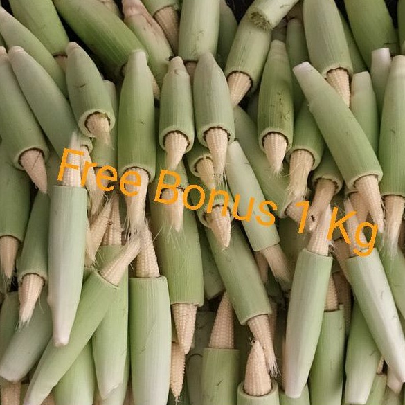 

Jagung Acar | Jagung Baby | jagung Putren 500gr + Gratis Bonus