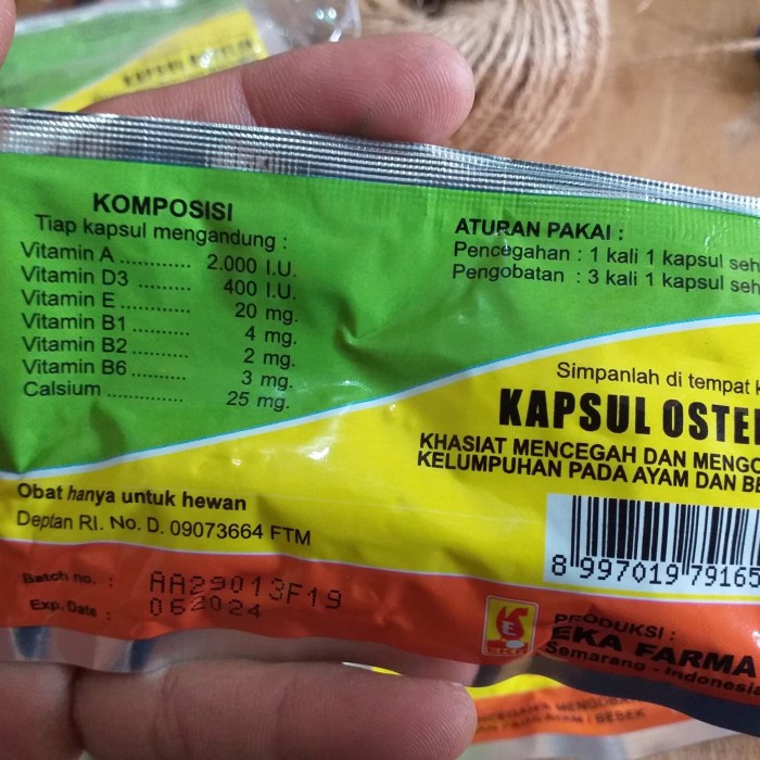 ayam-perawatan- ostelin obat lumpuh -perawatan-ayam.