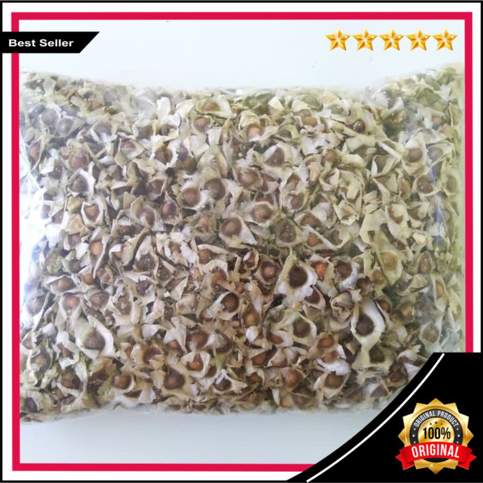 

COD Biji Kelor 500gr / Moringa Seed