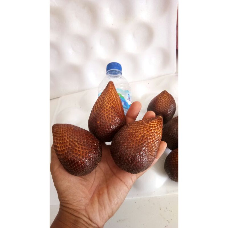 

Salak Pondoh Super Jumbo