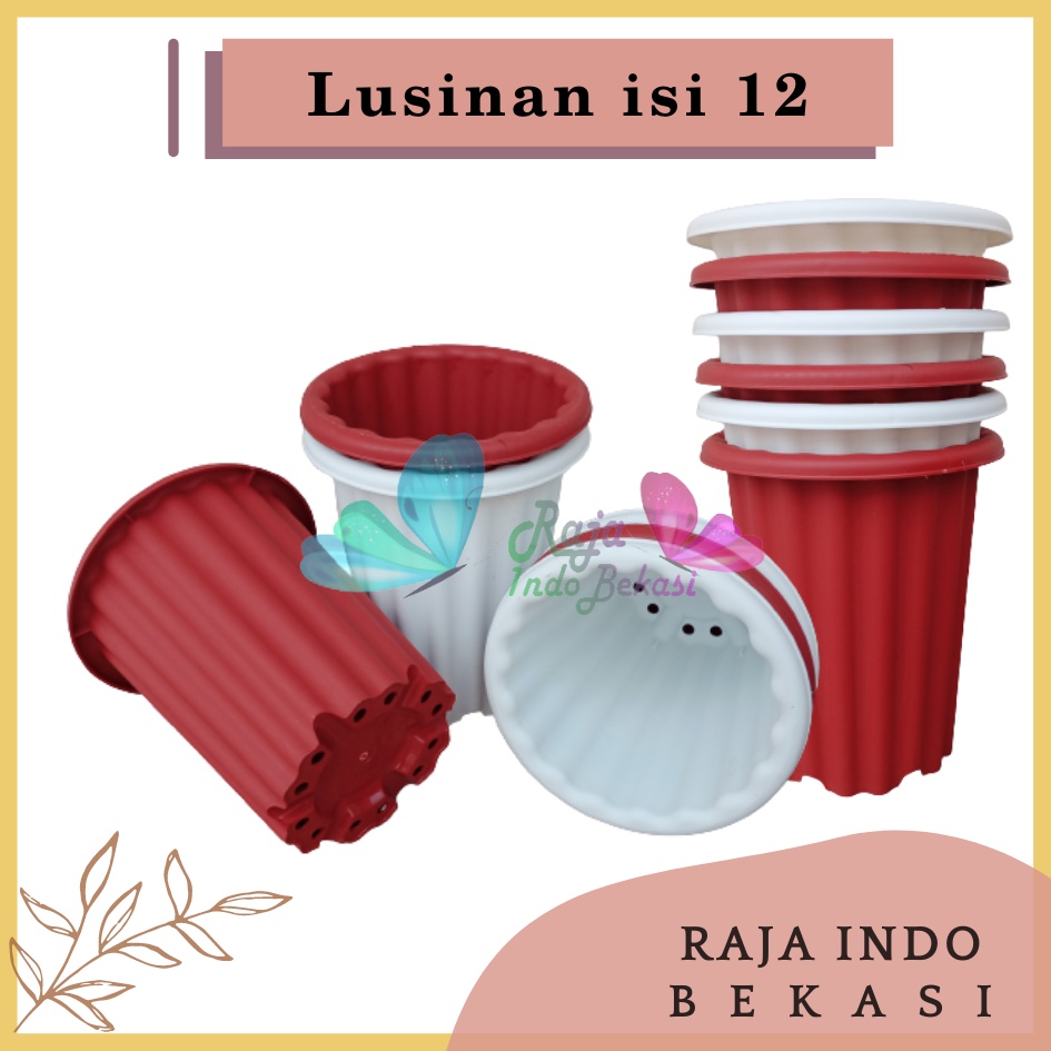 Rajaindobekasi Lusinan 12pcs Pot Swiss 18 Putih Bening Transparan Hitam Merah Bata Merah Coklat Terracota Terracotta Mirip Lusinan Pot Yogap Ypt 18 Putih Coklat Merah Bata Bening Transparan Pot Yogap 17 18 19 Pot Yogap Murah Pot Bunga Tinggi Pirus Tebal