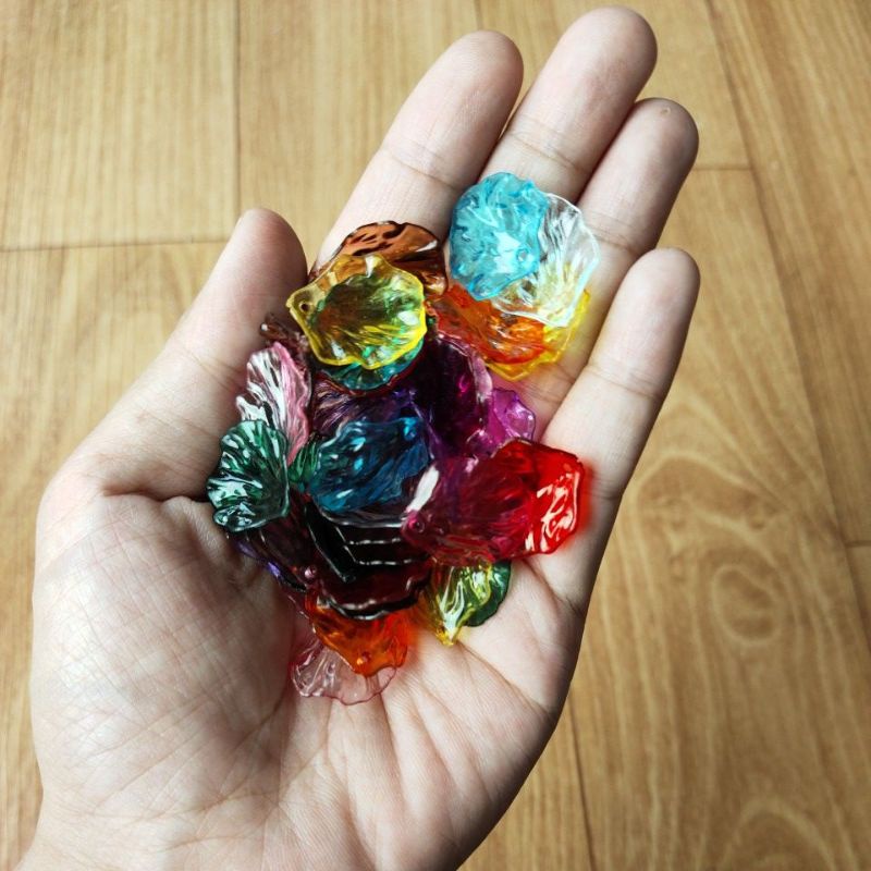 (20 g) Akrilik Cangkang Kerang