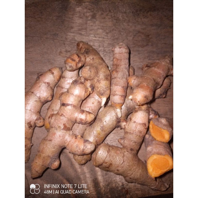 

kunyit kunir segar organik 1 kg