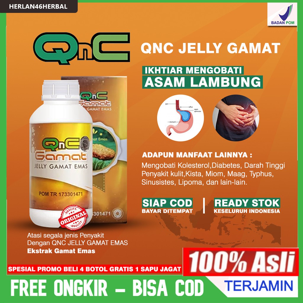 

obat Herbal QNC JELLY GAMAT sakit asam lambung- lambung bengkak 100% original produk