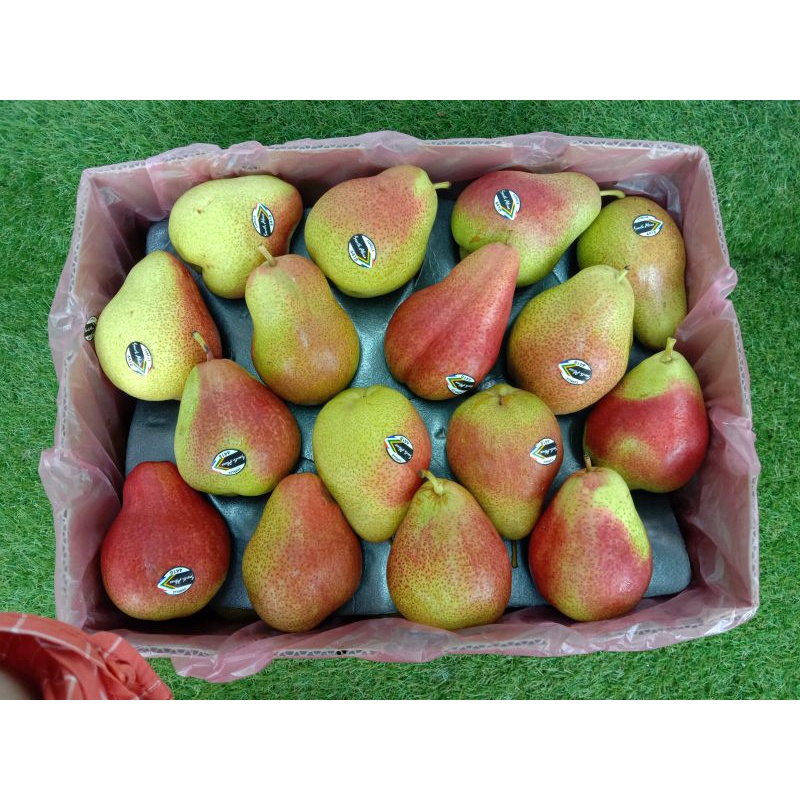 

pear forelle / pir forelle / pir manis 1kg