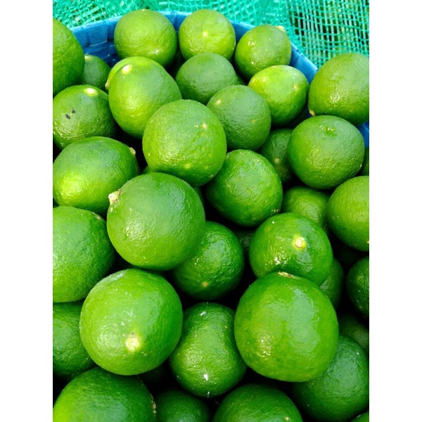 

Jeruk nipis/ jeruk pecel