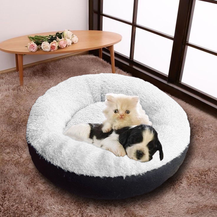 New Kasur Kucing Bulu Bulat/Rumah Kucing Bulat/Cat Bed/Tempat Tidur Kucing/Alas Tidur Kucing/Ranjang Kucing Murah/Perlengkapan Kucing Dan Hewan/Bantal Kucing/Kandang Murah/Tempat Tidur Dan Matras Hewan/Kasur Kucing Bulu Besar/Tempat Tidur Kucing Besar