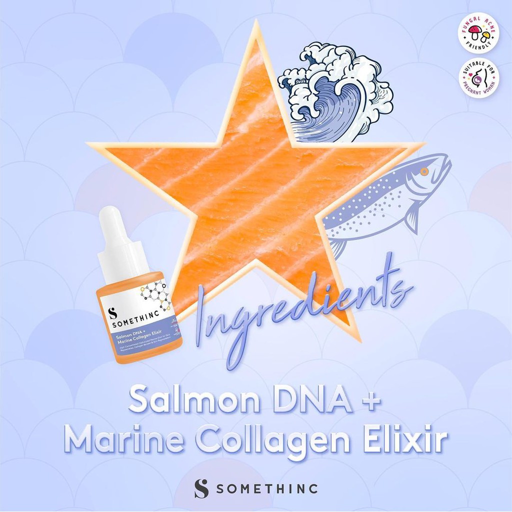 READY SOMETHINC Holygrail Multipeptide Youth Elixir / Salmon DNA + Marine Collagen Elixir holy grail