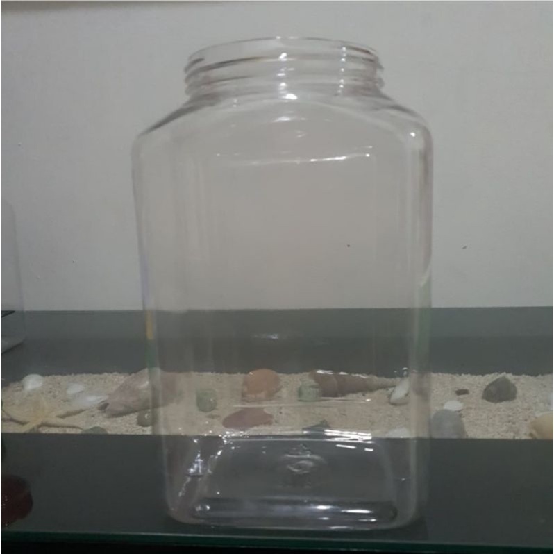 Toples Plastik Ikan Cupang 4 Liter Tanpa Tutup