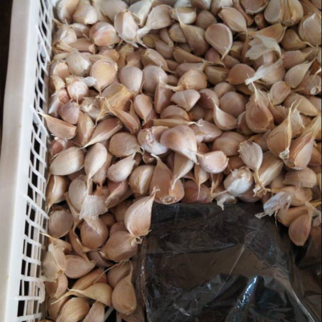 

Bawang putih