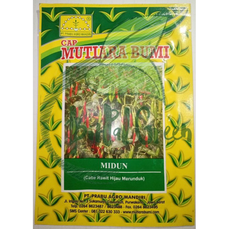 Benih Cabe Rawit Hijau Merunduk Midun (Repack 120 Butir)