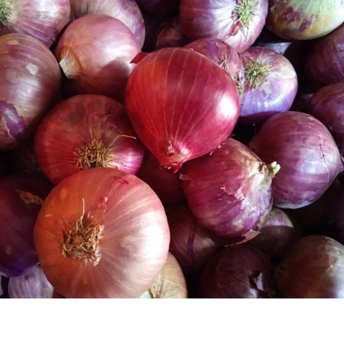 

Recomend bawang merah india/peking