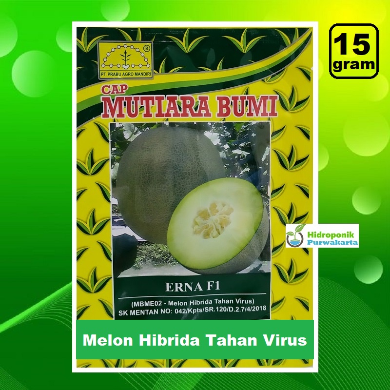 Benih Melon Tahan Virus ERNA F1 Tavi 15 Gram Cap Mutiara Bumi 15 gram