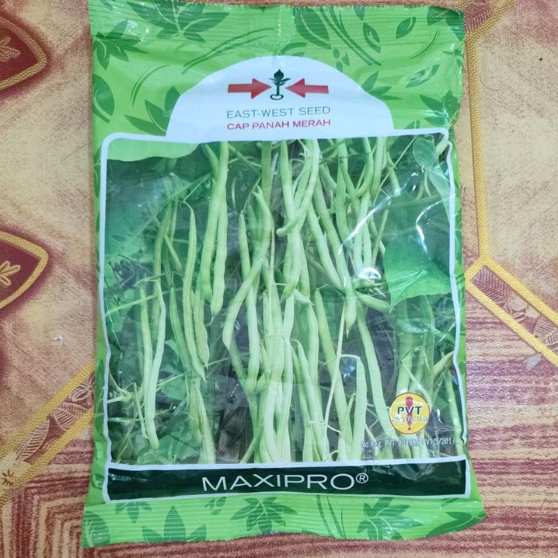 BENIH BUNCIS MAXIPRO 500 GR