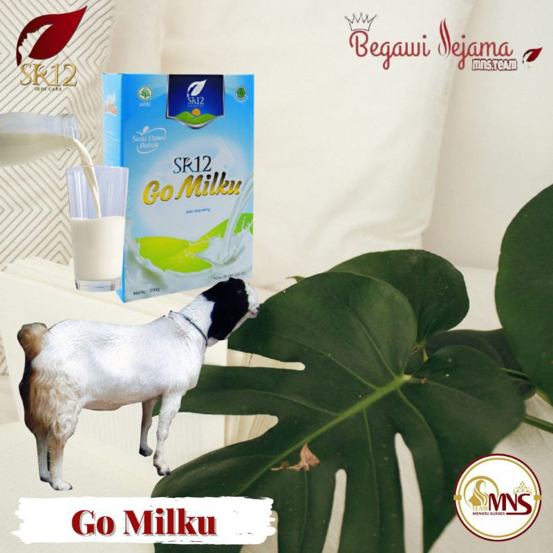 

GO MILKU SR12