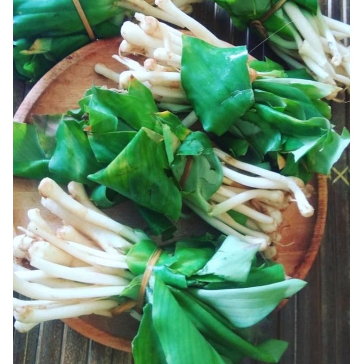 

daun cikur/daun kencur per pack