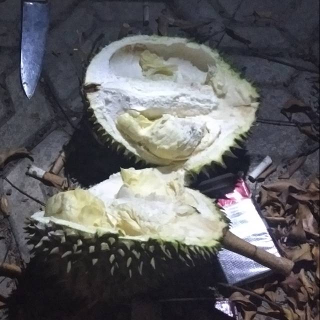 

King Durian