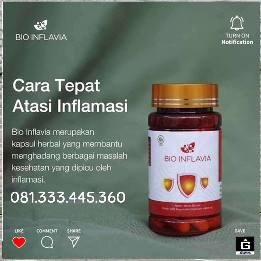 Bio Inflavia Biogreen Darah Tinggi Kolesterol Pusing Asam Urat Rematik