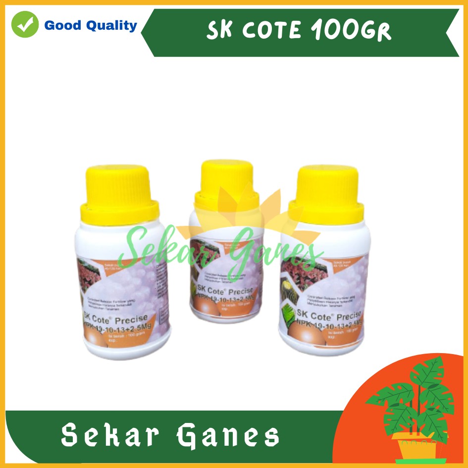 Sekarganes Ori SK Cote Precise 100 Gram NPK 19-10-13 Pupuk Durian Fungsi Mirip Osmocote Dakastar 17-11-10 17 11 10 Pupuk Sk Kote Premium Tanaman Hias Aglaonema Monstera Aglo Slow Release