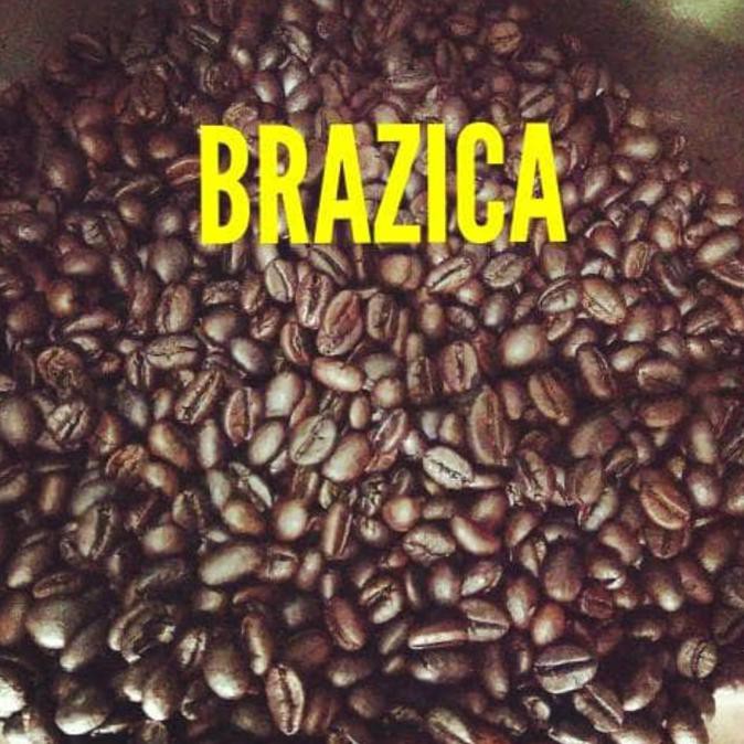 

ENAK Kopi Biji Robusta Lampung 500 gram Merek Brazica "Gold Quality" BANYAK RASA