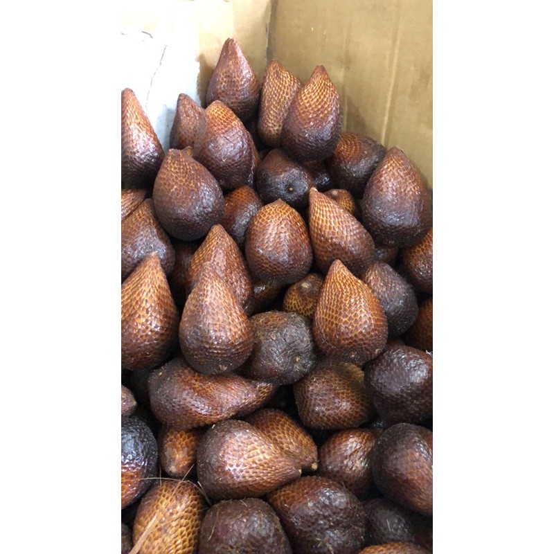 

Salak Pondoh Asli Manis buah salak pondoh 1kg