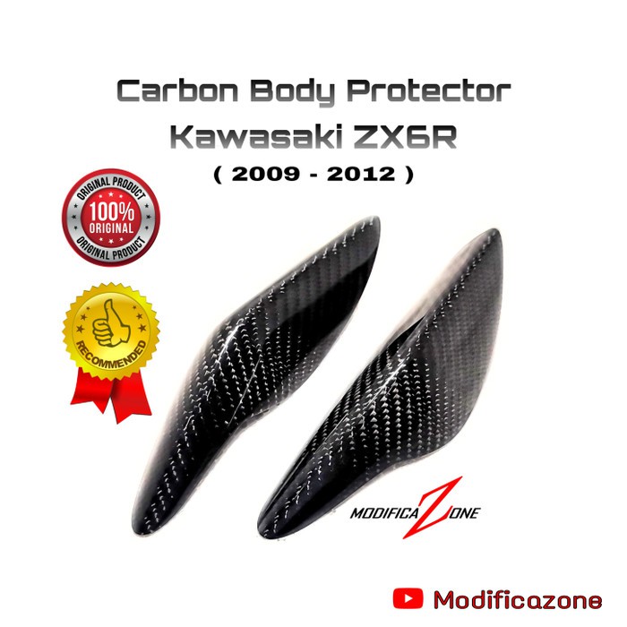 Carbonstar : Carbon Body Protector ZX6R -not windshield brembo rcs19