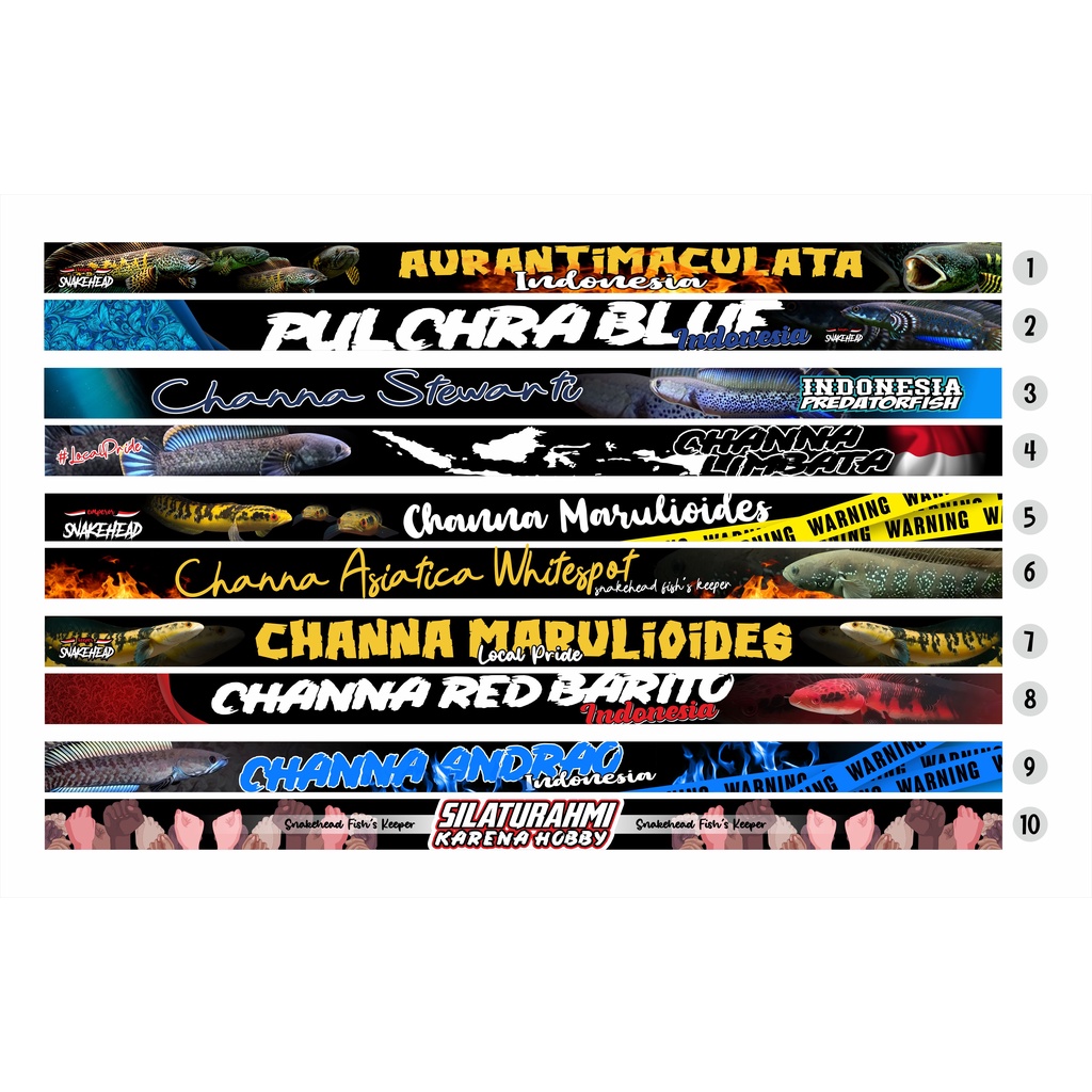 SNAKEHEAD FISH CHANNA EDITION (Bisa Request) Stiker aquarium stiker tank stiker iwak galak stiker pr