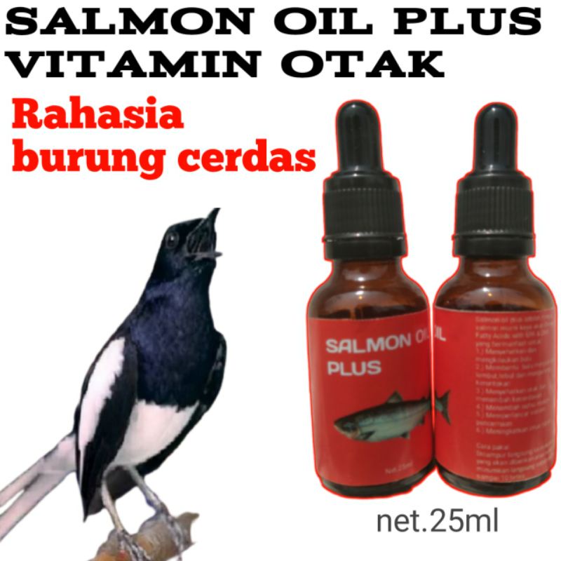 VITAMIN BURUNG KACER/VITAMIN OTAK BURUNG/MINYAK IKAN SALMON/SALMON OIL PLUS